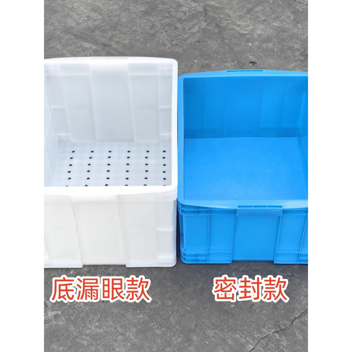 底部漏眼塑料篮食品周转箱排水箱透气小眼篮糕点箱面包箱过滤器滴