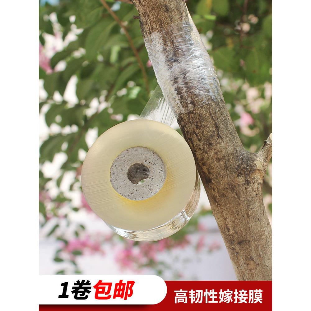 自粘式嫁接膜园林果树嫁接专用膜接树包扎免拆嫁接胶带PVC缠绕膜