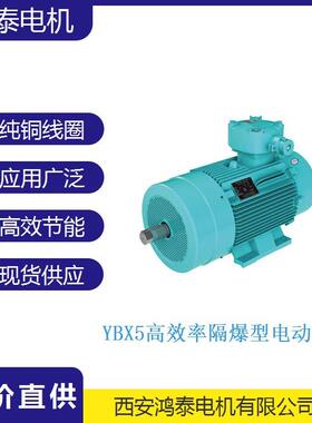 鸿泰节能防爆三相异步电机tYBX5-315L2-2t200KWt380Vt防爆性能好