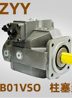 XB01VS0250-01/RPPB13N00-10 TZYY TAI YUAN HEAVY MACHINERY