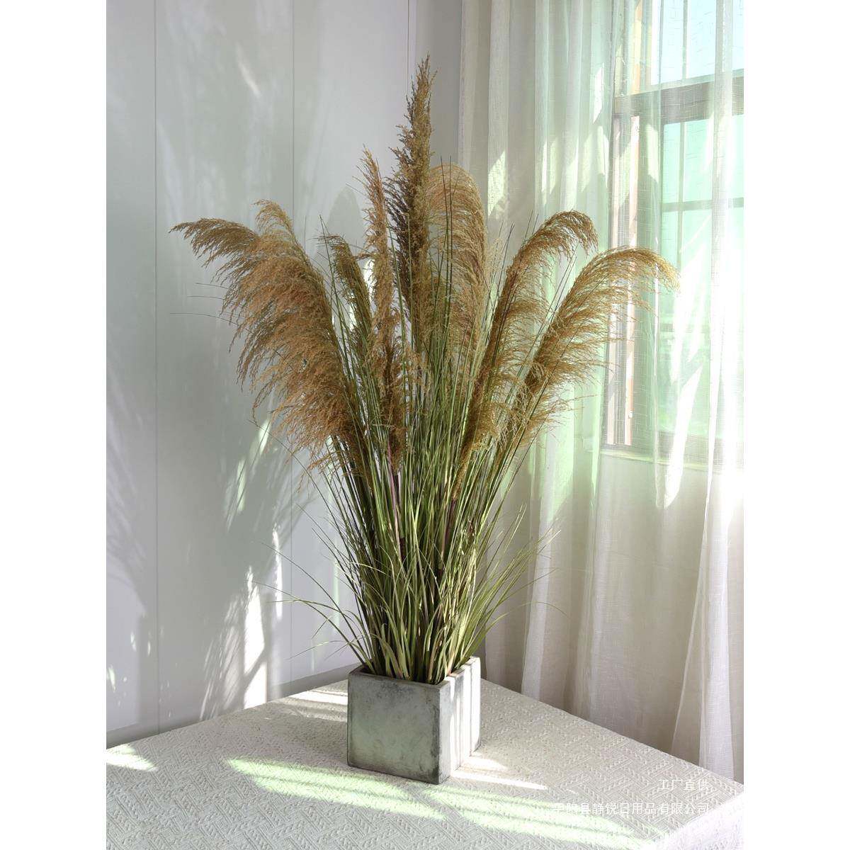 天然F9755MS6芦植苇干绿植摆件假花造景草物盆栽花店面家居装饰摆