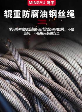 电动地卷扬机380v电动葫芦降CEV220v用家装修建筑工起重升吊机提