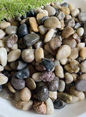 精抛光装铺石雨花xwc001石原家天石五彩然杂色小面鹅卵石