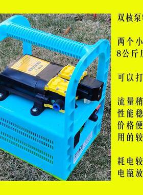 PXS肥扬抽肥泵草莓动冲肥施器水溶肥大棚吸肥电肥高压滴追灌农用