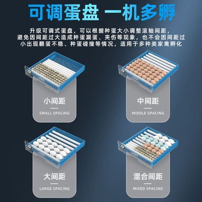 威振孵化器小型家用孵化机全自动智能迷你孵化箱鸡鸭鹅小鸟孵蛋器