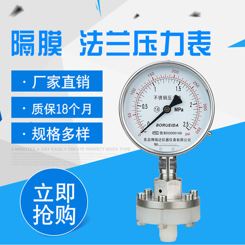 好货耐震不锈钢法兰式隔膜压力表YTP-100MF/ML衬四F耐腐钽片非标