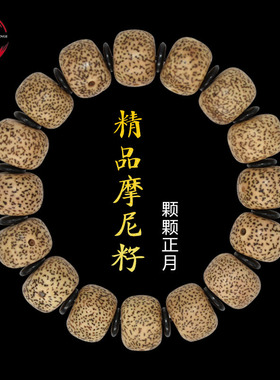 极速摩尼籽冰花菩提子手串大星月菩提陈籽藏式佛珠念珠文玩男女士