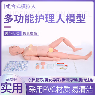 心肺复苏模拟人 催乳按 医学人体模型 极速新型多功能护理人模型