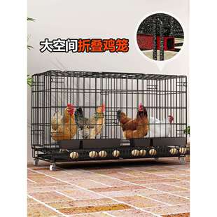 加粗款蛋鸡笼家用室外养鸡笼子鸡舍家用特大号折叠自动滚蛋鸡笼