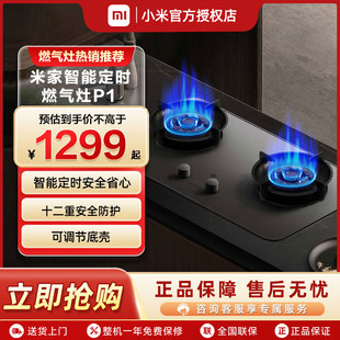 小米米家智能定时燃气灶P1大火力天然气煤气灶厨 政府补贴20%