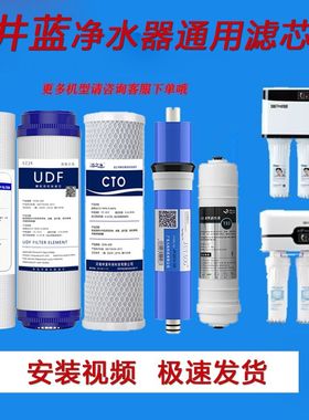 适用井蓝净水器纯水机滤芯LRO-500/550/600超滤机L-DF202反渗透