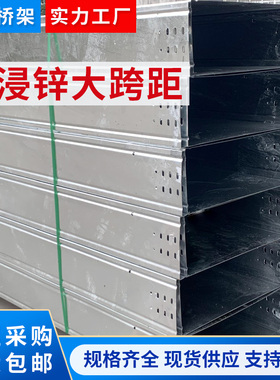 新热镀锌防火喷塑6米8米大跨距桥架400200100梯式厂房线槽300150