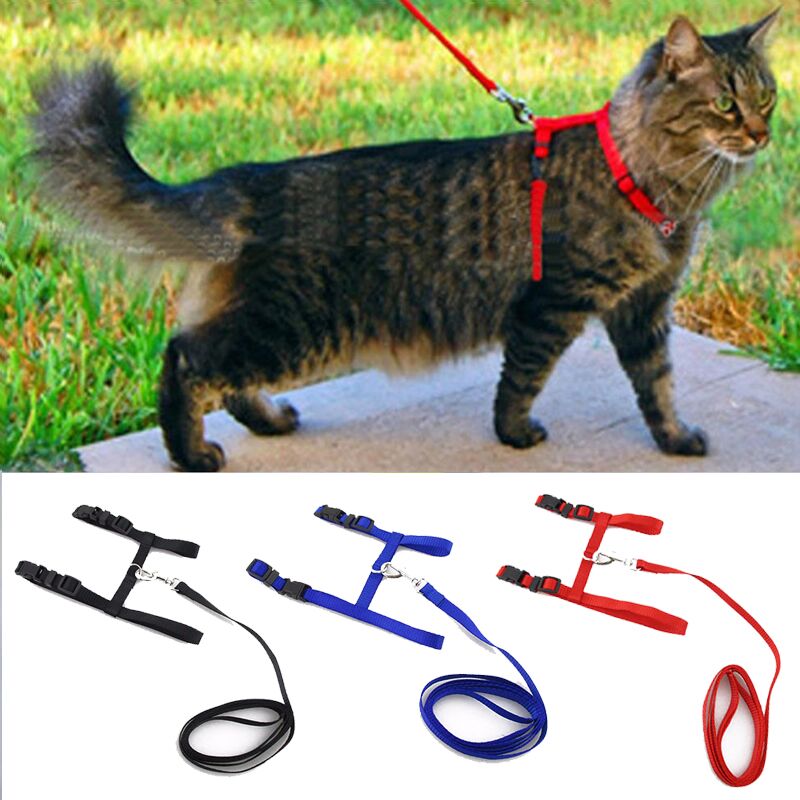 Cat Collar Harness Leash Adjustable Nylon Pet Traction Cat K