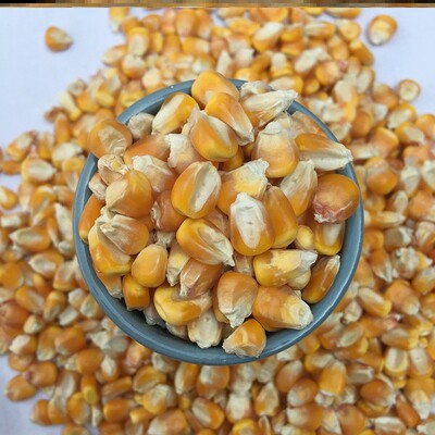 玉米粒鸽粮鸽子食粮鸽子吃的专用粮食20斤打窝鸟食杂粮50斤装宠物