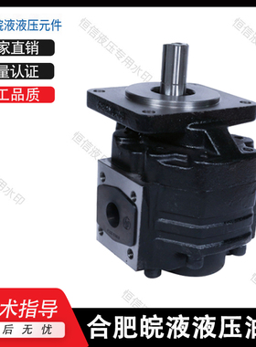 合肥皖液齿轮泵CBNJ-F532/F540/F550/F563-BFPR 铸铁液压油泵