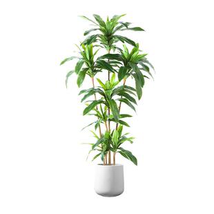 北欧风大型假绿植客厅装饰铁树盆栽仿真假树仿真花婚庆布置