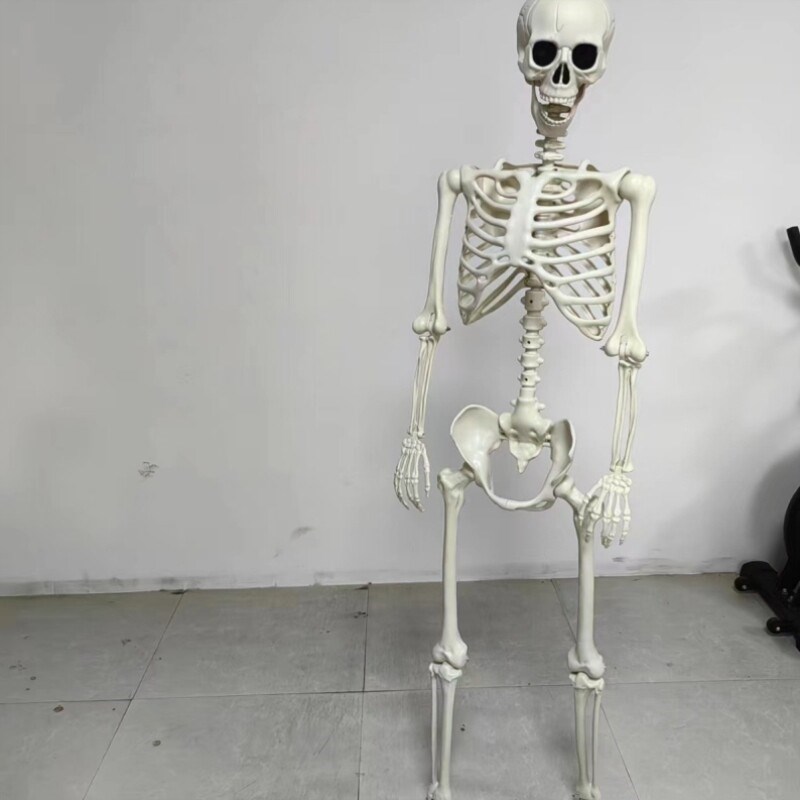 速发圣节装饰南瓜灯仿真人体骷髅骨架鬼屋密室场景布置装扮道具摆