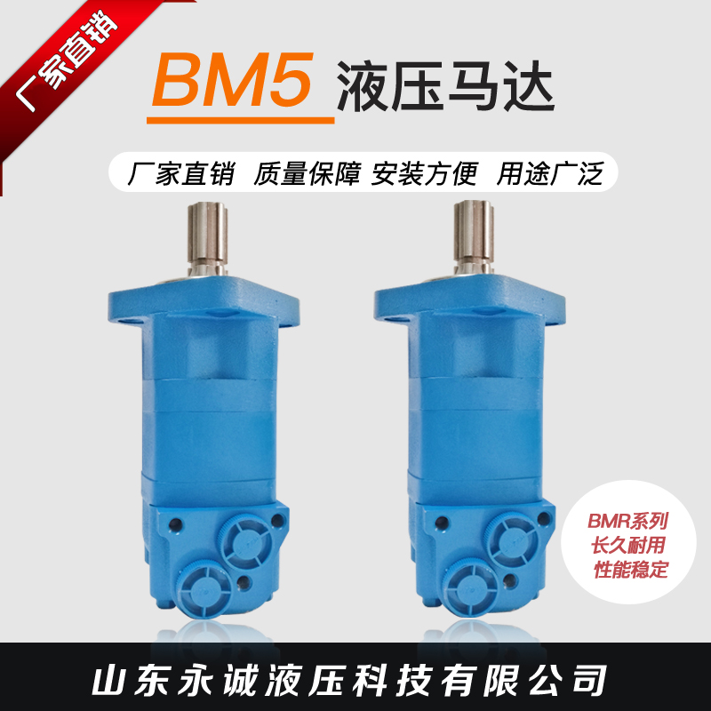 速发摆线液压马达BM5 BMR160/200/250/05/400/500扫雪车马达