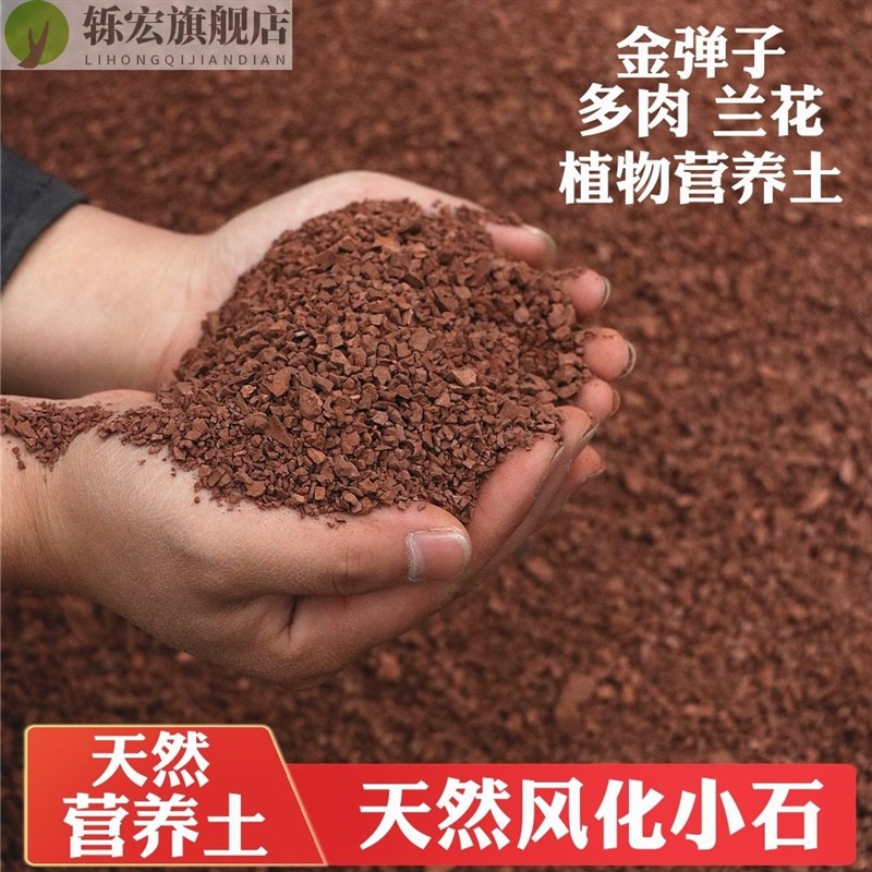 速发金弹用专子土风化土盆景肉颗粒土扦插生根多风土兰花酸性