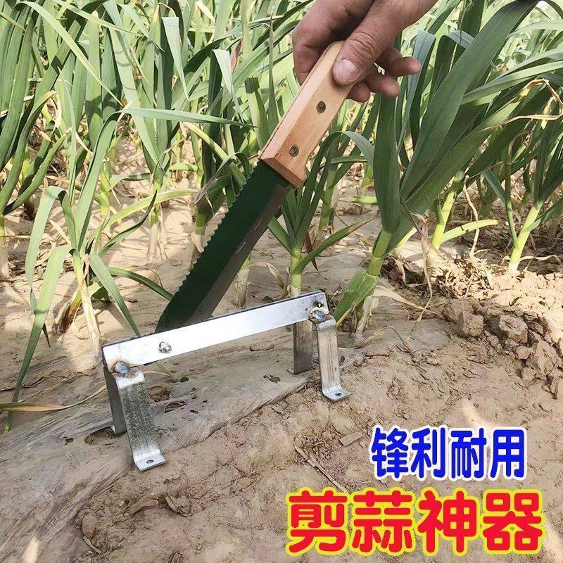 速发剪大蒜剪子 特快剪剪机蒜蒜根须新款刀铡蒜头神器 工蒜根切具