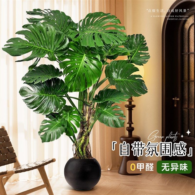 精选彷真龟背芋绿植造景植物高端轻奢摆件室内客厅盆栽落地假树办,家居饰品,仿真植物盆景,淘宝优惠券,粉丝福利购,淘宝优惠卷