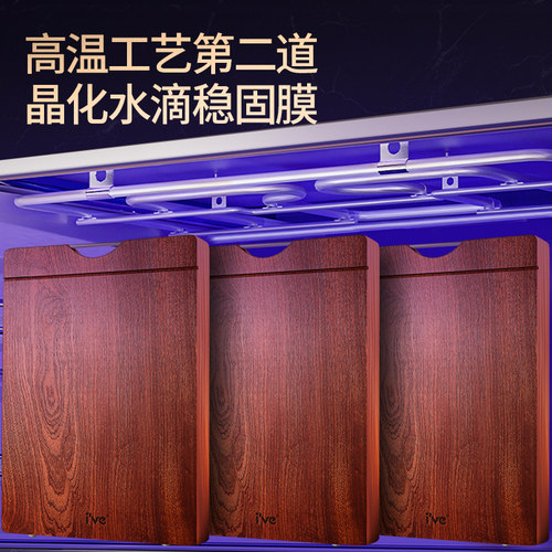 德国ive 乌檀木菜板抗菌防霉家用砧板实木擀面案板整木粘板切菜板