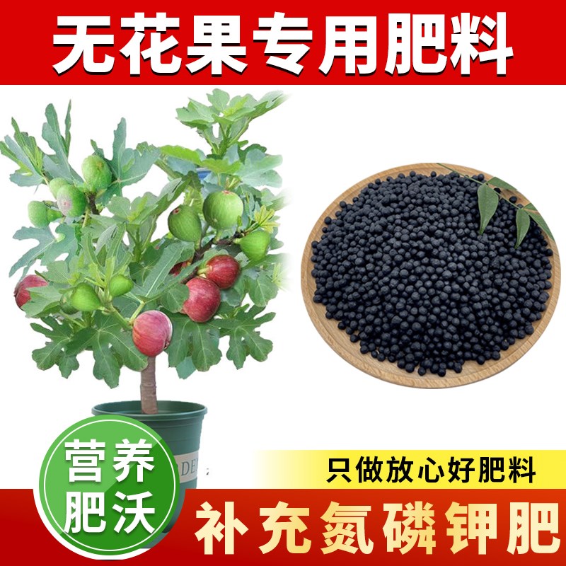速发无花果肥无花果树肥料有机复合肥水果树肥肥栽肥种植盆料