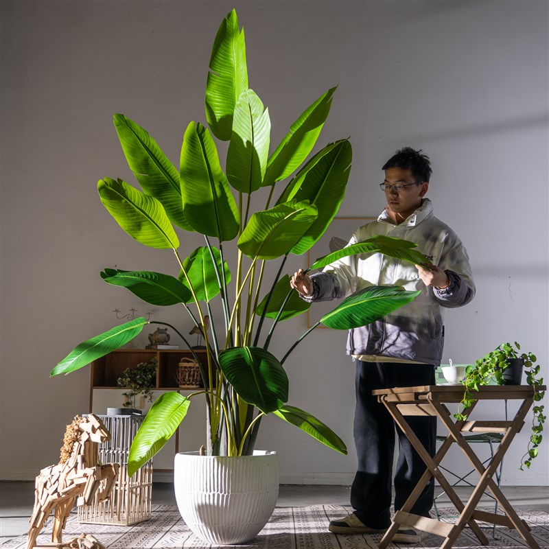 速发202大叶旅人内鸟花仿生绿植物盆栽假装室蕉客厅落地树饰