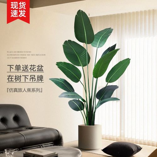 速发绿植旅人蕉客厅仿饰轻件大型装生植物室内高端摆奢落地盆栽