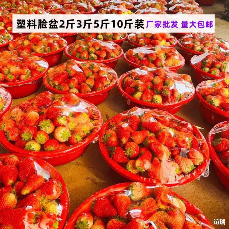 料脸盆2斤装3斤装5斤装10斤装草莓脸盆水果脸盆草莓盆小号 红色