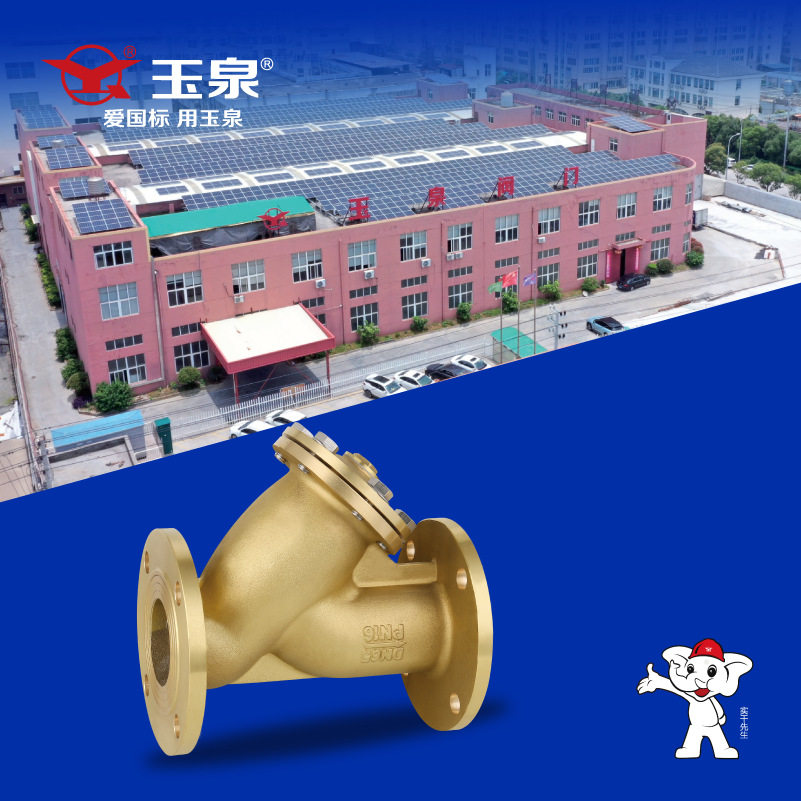 定制国标法兰Y型过滤器
