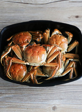 2500ml一次性餐盒带盖龙虾盒海鲜蟹盒黑色鸭煲打包碗保鲜盒90套