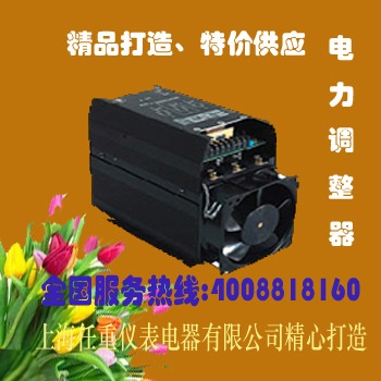 W5ZZ4V060-24J可控硅调功器W5TN4V060-24JW5TP4V060-24J电力调节