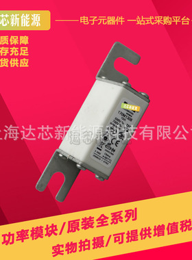170M1308 170M1309 170M1310 170M1311 170M1312全新现货熔断器