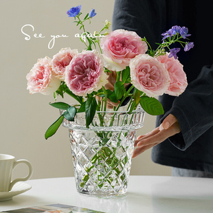 简约创意大口径水晶花瓶玻璃透明水养插花鲜花客厅高级感摆件 法式