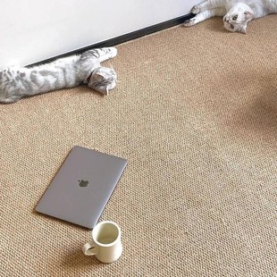 彷剑麻拍照地毯猫爪板日式民宿客厅卧室家用飘窗照相馆办公室地垫