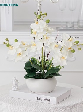 仿真花蝴蝶兰套装盆栽白色陶瓷盆茶几电I视柜餐桌摆件假花装饰客