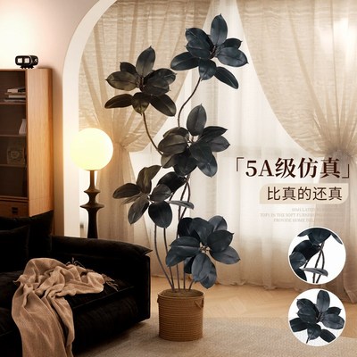 仿真绿植黑金刚橡皮树客厅大型盆栽落地摆件高端轻奢W仿生假树植