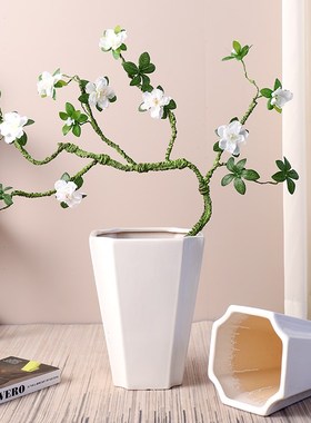 家用白色简约陶瓷花盆室内客厅z落地龟背竹散尾葵专用兰花蕙兰种