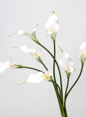 高级感暗紫色双头马蹄莲假花海芋花仿真花家居摆件样板房装饰婚庆