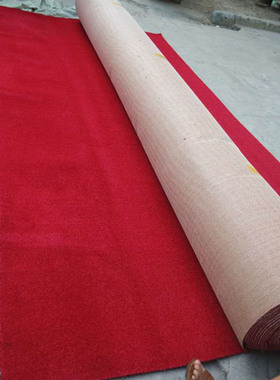 加厚10mmf纯色弯头纱满铺地毯宾馆美容院卧室商用KTV办公工程地毯