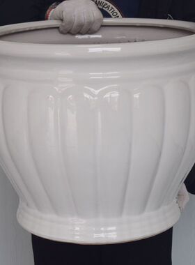 白色缸南瓜缸大口径陶瓷花盆送货上门酒店客厅阳台发财树花盆陶瓷