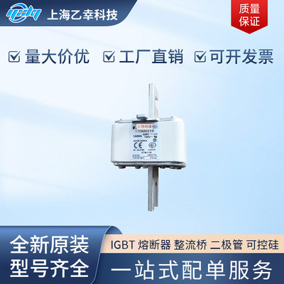 巴斯曼熔断器  170M6219 170M6220 170M6221 170M6229 170M6238