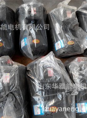 YP2电机V1安装JHM-112M-2-4电机法兰安装孔键和键槽长度相同