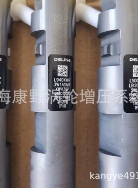 喷油器42056197= 28621664 1112010-TP10R同*42014454 1112100-KA