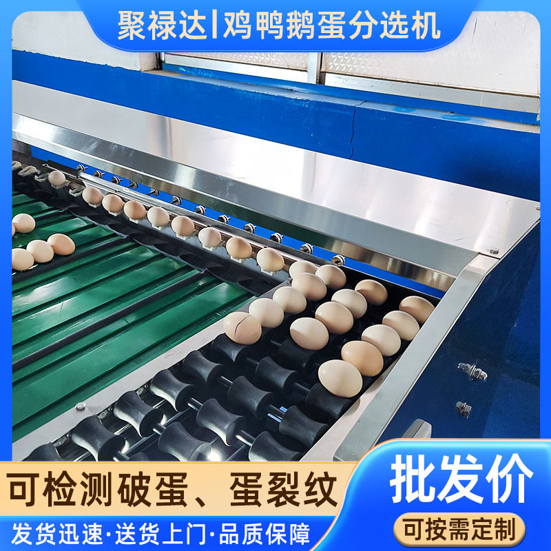鸡蛋鸭蛋重量分级机鸡蛋鸭蛋鹅蛋分大小机器咸鸭蛋分选设备
