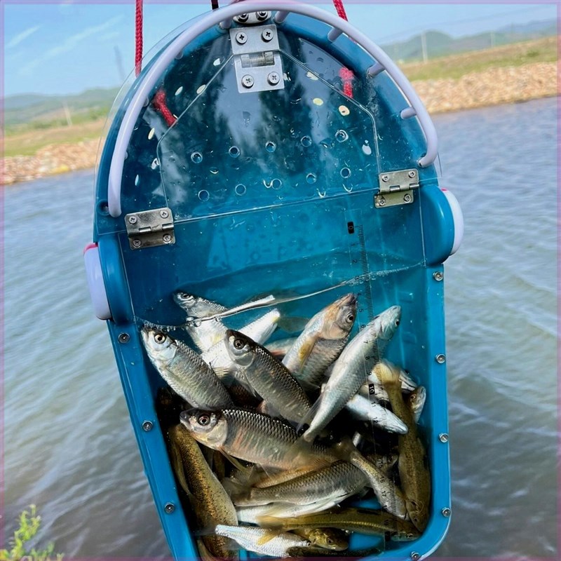 路亚引舟溪流引舟路亚装鱼桶引舟活鱼桶路亚活鱼桶溪流路亚工具