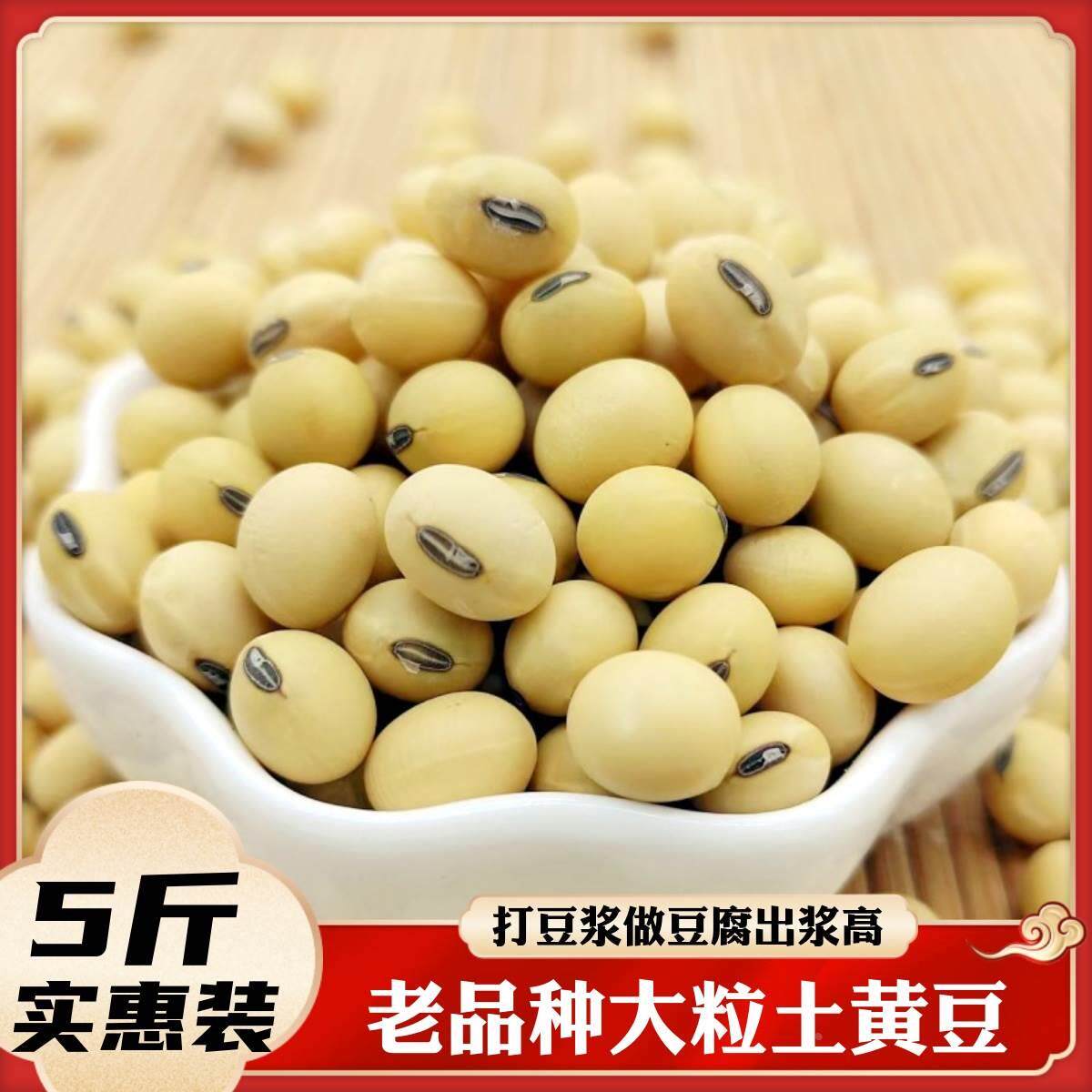 大粒土黄豆5斤老品种黑肚脐豆浆黄豆农家非转基因椭圆形250g包邮