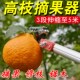 高枝摘果器高空剪枝剪伸缩摘果器摘果神器摘枇杷摘香椿锯木剪树枝