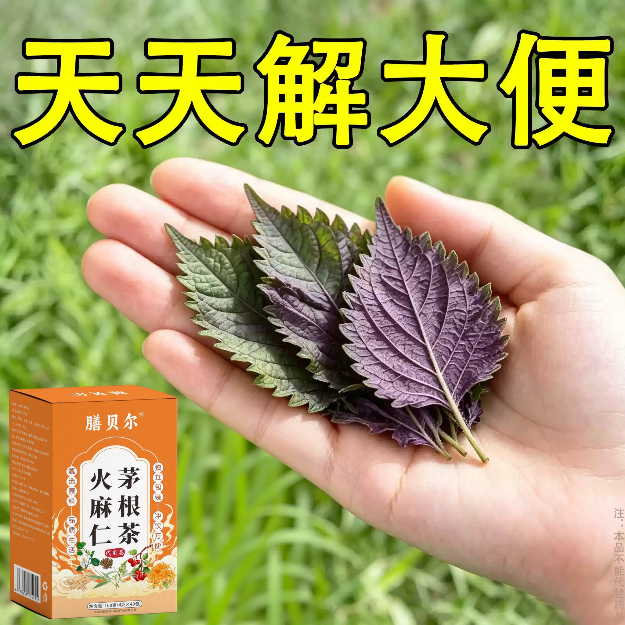 【长期拉不出】便泌茶排便润肠清肠毒通男女士老年人火麻仁茅根茶